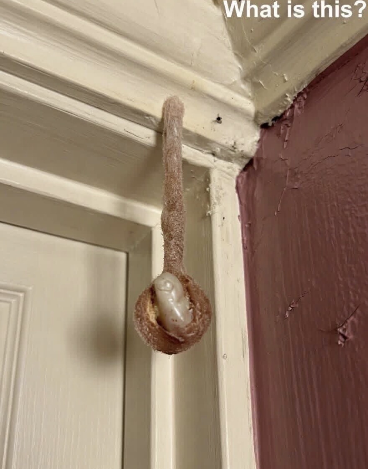 My husband and I booked a room during our vacation. In the hotel room, I discovered this. I’ve been looking at it for half an hour now, but I still can’t figure out what it is. Does anyone know? Check the first comment for the answer 👇
