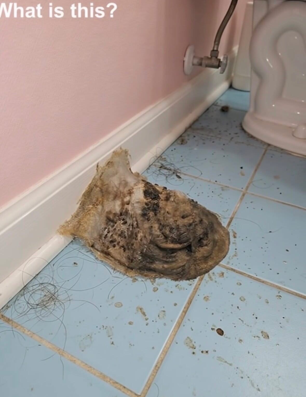 went on a 7-day vacation by the sea. When I came back home, I discovered this on the floor of my bathroom. I’m keeping my distance and staring at it, trying to figure out what it is. Does anyone know? Check the first comment for the answer 👇