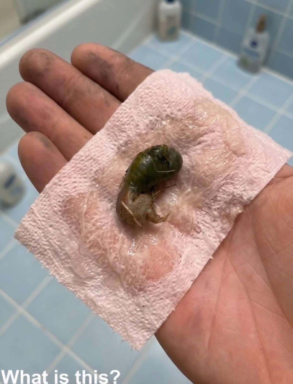 We found this in our bathroom. When I first saw it, I was really scared. My husband came over and picked it up with a tissue. We’ve been staring at it for twenty minutes trying to figure out what it is. Does anyone know? Check the first comment for the answer 👇