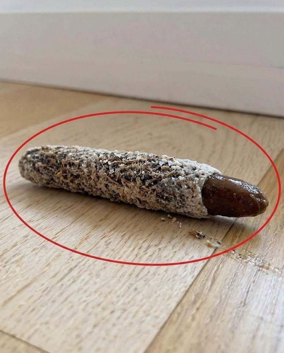I found this on the floor near my bedroom door…  No one in my house knows where it came from, and honestly, I’ve never seen anything like it before. What do you think it is? Check the first comment for the answer.