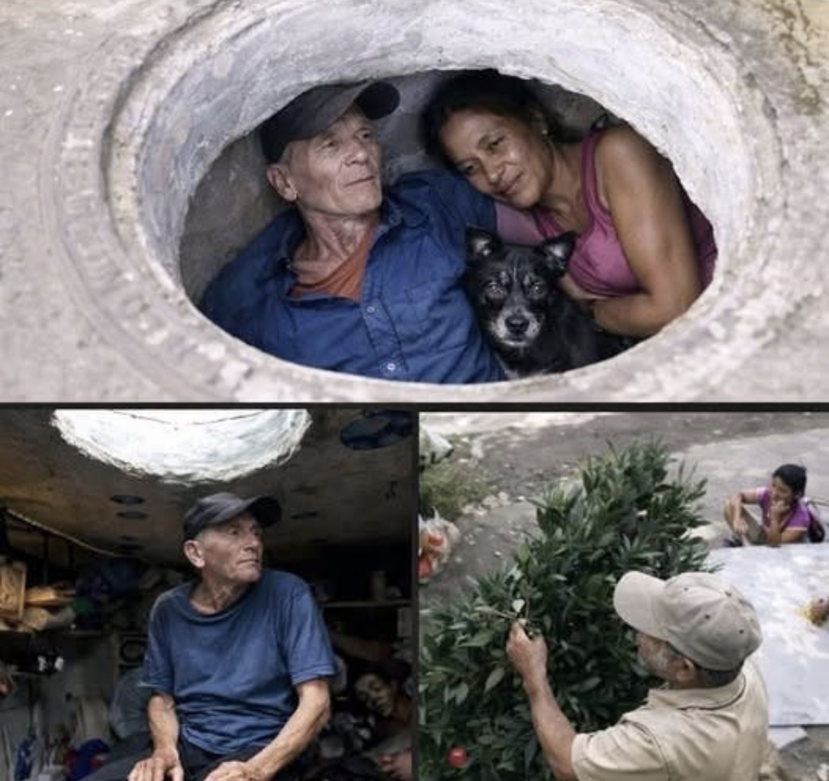 Breaking News: Family found in a… Check 1st comment