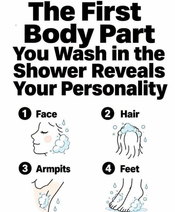 See below👇