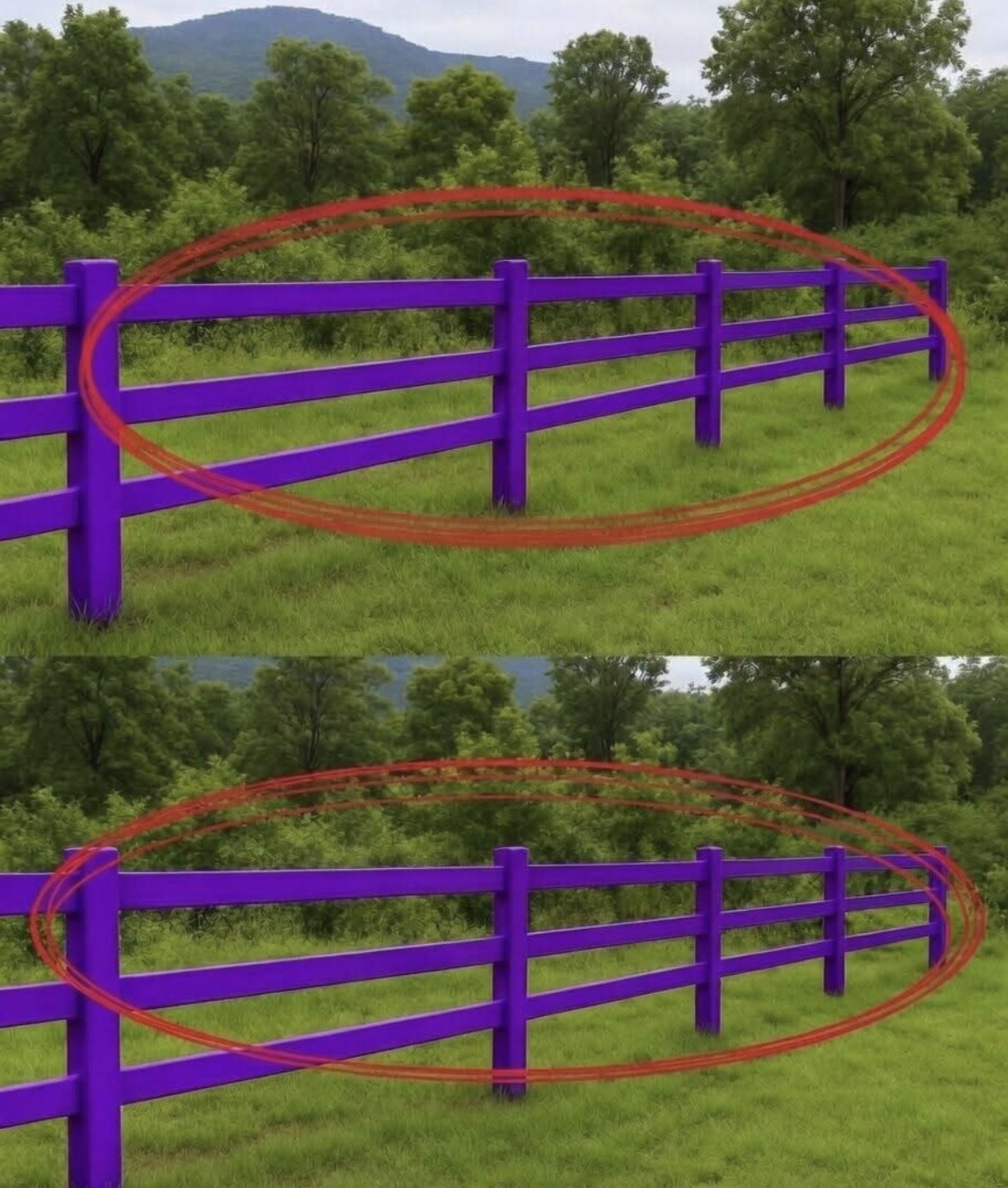 My neighbor and I have a shared fence, which he painted purple without my permission. I don\’t even like purple fences, but he says everyone paints them purple for a reason. I was so angry that I couldn\’t even ask what it means. What\’s the meaning behind purple fences?
