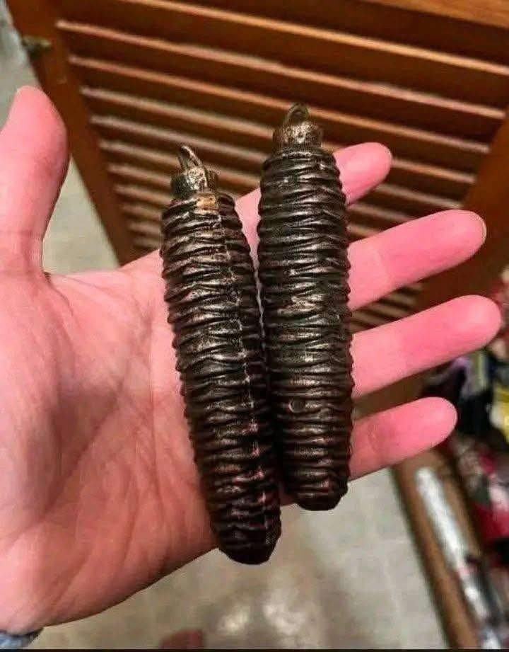 No, these are not Christmas decorations. My girlfriend is searching the house where her grandmother and her aunt have lived all their lives, and she found a lot of weird things. Apparently, they are solid and very heavy; too heavy to hang on a Christmas tree. What can it be