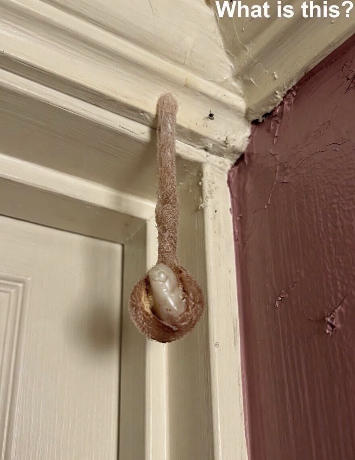 My husband and I booked a room during our vacation. In the hotel room, I discovered this. I’ve been looking at it for half an hour now, but I still can’t figure out what it is. Does anyone know? Check the first comment for the answer 👇
