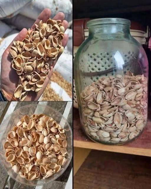 Most people throw away pistachio shells without knowing how valuable they are…