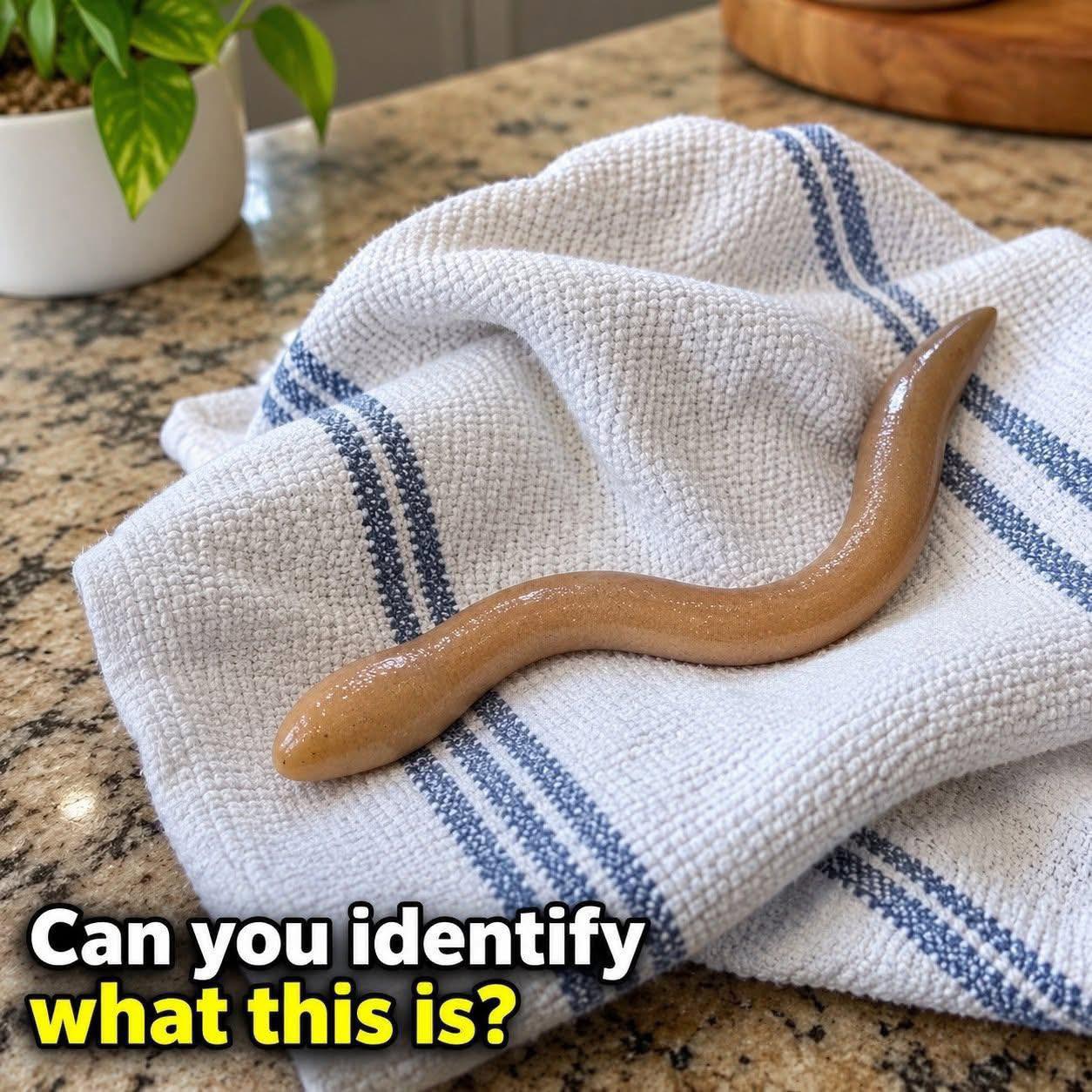 This evening, I went into my girlfriend’s bathroom and noticed this on the floor. I’ve been sitting here for 30 minutes, looking at it and trying to figure out what it is. Honestly, I’m too embarrassed to ask her. Does anyone know what this could be? Check the first comment for the answer 👇