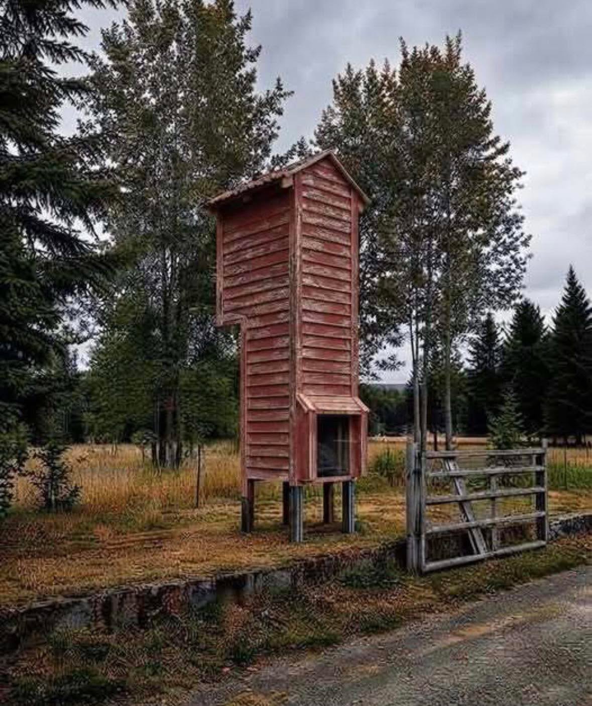 We keep seeing these along the roads in Oregon, and we still have no idea what they are. They’re usually placed at the end of a driveway, with the lower glass section facing toward the road. They look like they’re around 15 feet tall. Every time my wife sees one, she gets frustrated trying to figure it out. At first, we wondered: Is it some kind of lookout tower? A giant birdhouse? A wildlife feeder? It looks like there’s nothing inside, but there has to be a reason people build these. Does anyone know what this could be? Check out the discussion in the comments. 👇