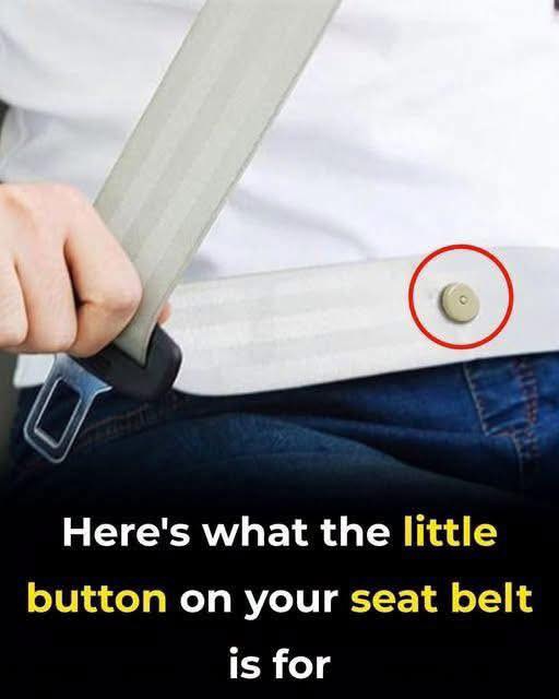 Do You Know What That Little Button on Your Seat Belt Is For? See more…