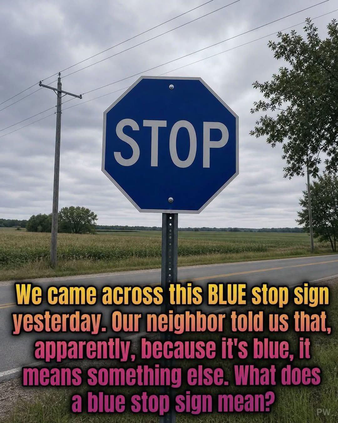 The Secret Meaning of a Blue Stop Sign 👇👇 ‍͏