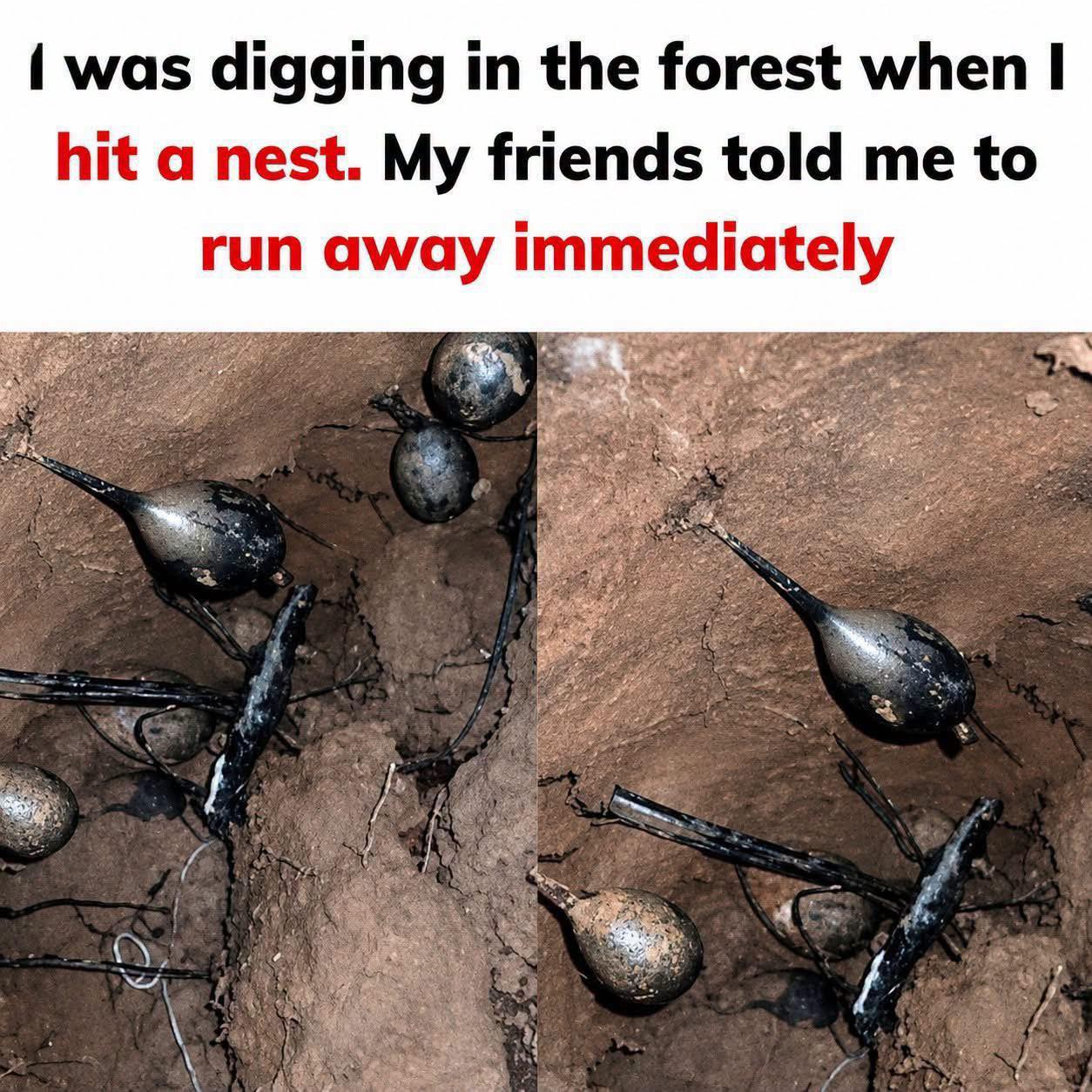 I’ve never seen anything like this in my life… Check in comment 👇