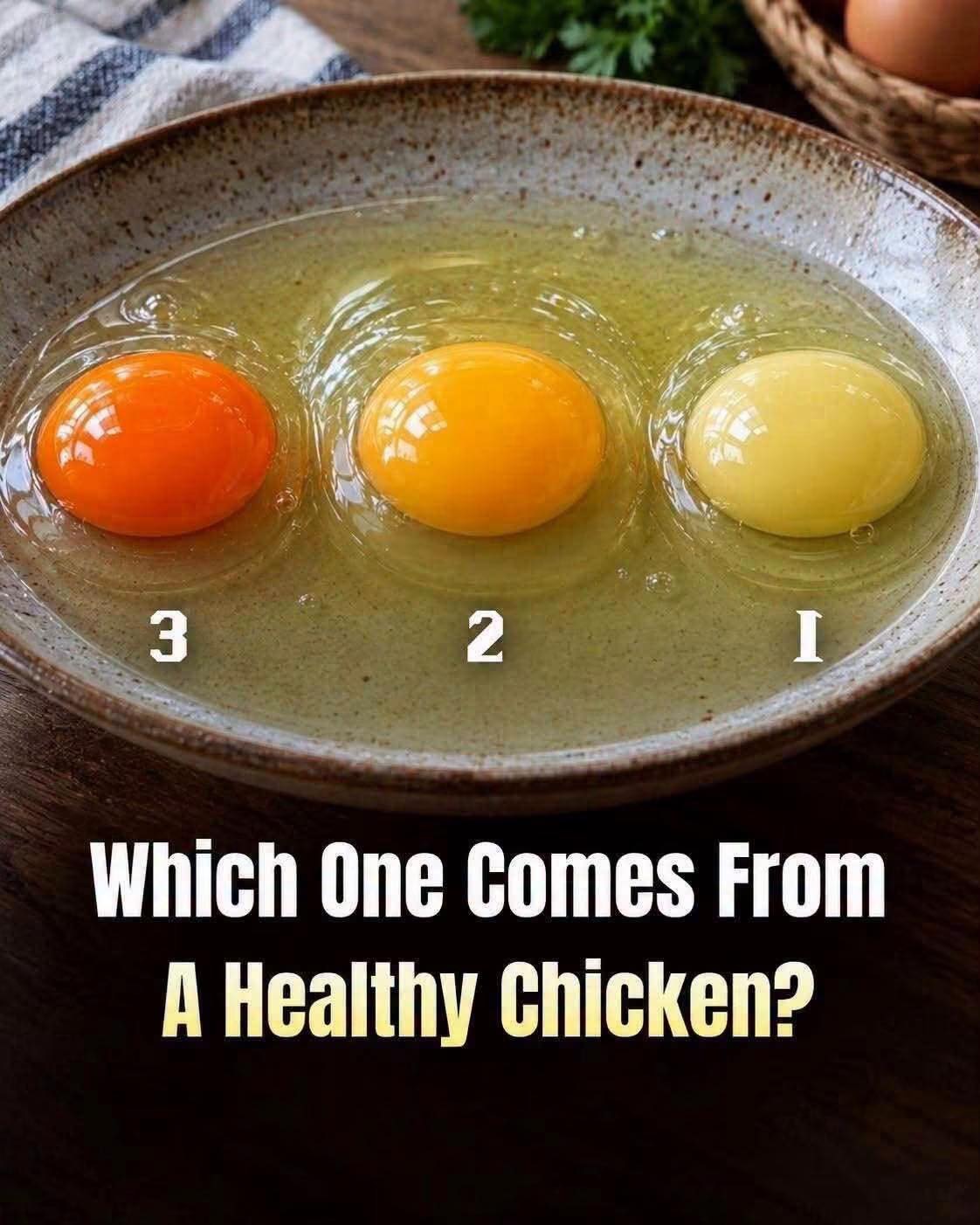 Which Egg Is From The Healthiest Chicken? Choose 1, 2, Or 3 Before Seeing The Answer! 🥚👇 ﾠ͏­f