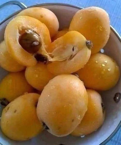 I’ve spent my whole life searching for the name of this fruit. Does anyone know? 👇