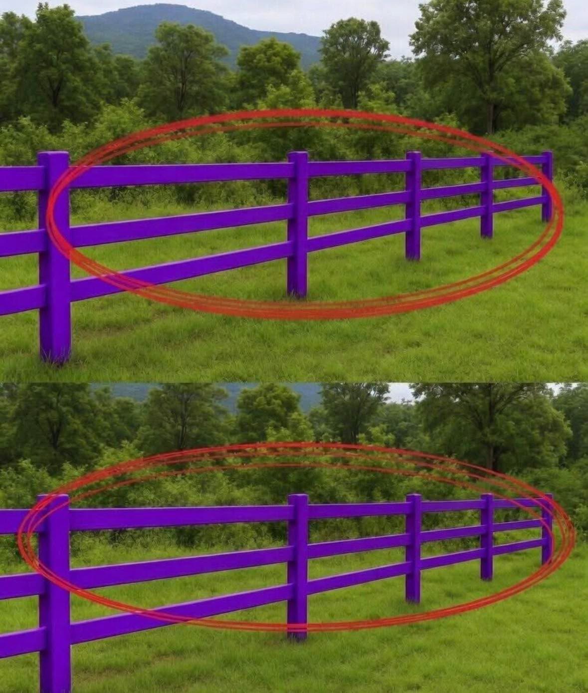 My neighbor and I have a shared fence, which he painted purple without my permission. I don\’t even like purple fences, but he says everyone paints them purple for a reason. I was so angry that I couldn\’t even ask what it means. What\’s the meaning behind purple fences?