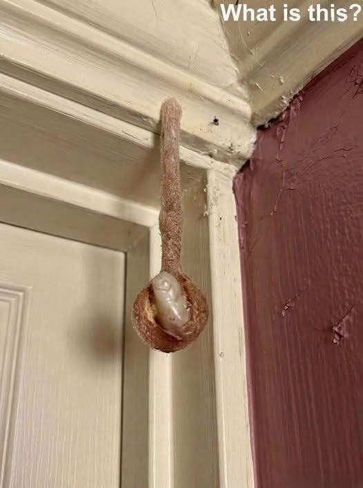 My husband and I booked a room during our vacation. In the hotel room, I discovered this. I’ve been looking at it for half an hour now, but I still can’t figure out what it is. Does anyone know? Check the first comment for the answer 👇