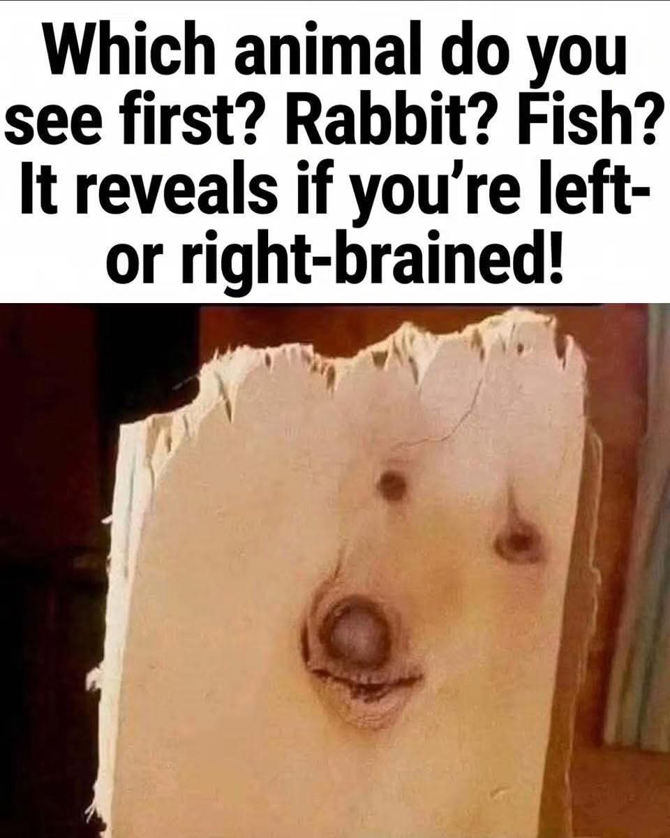 Read More in the first Comment⬇️