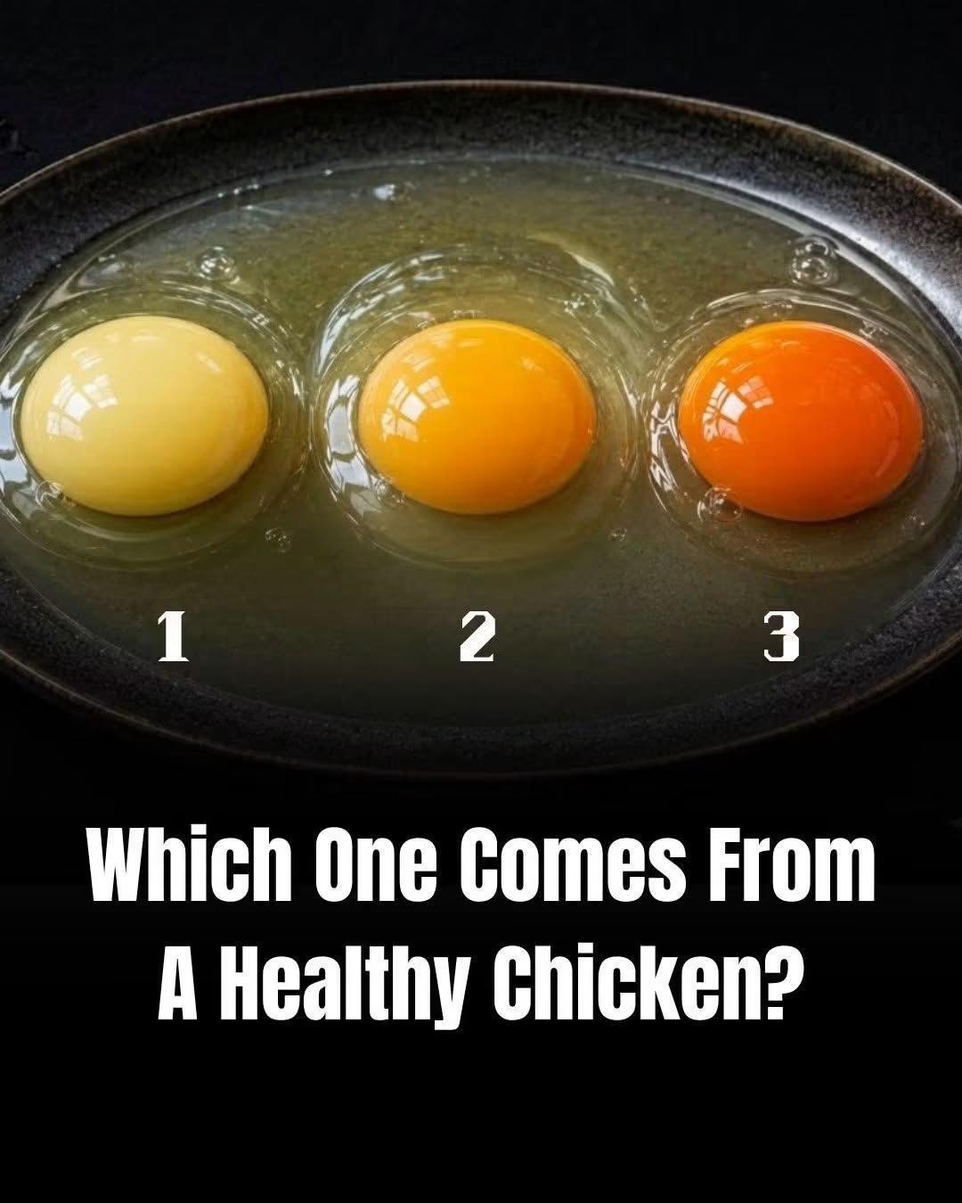 Which Egg Came From The Healthiest Chicken? Pick 1, 2, Or 3 Before Reading The Answer! 🥚👇